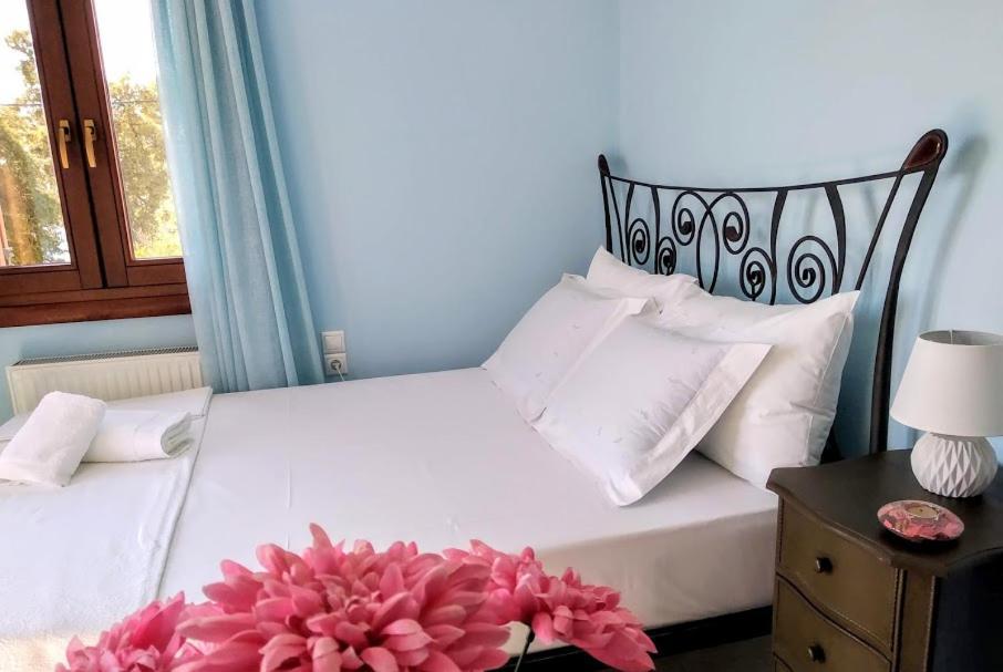 Pelion Seaside Luxury House Apartamento Afissos Exterior foto