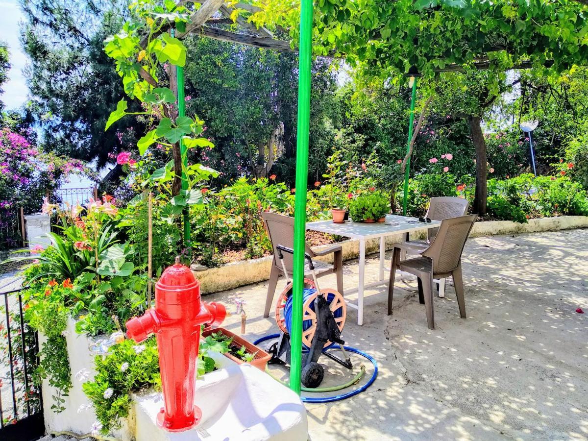 Pelion Seaside Luxury House Apartamento Afissos Exterior foto