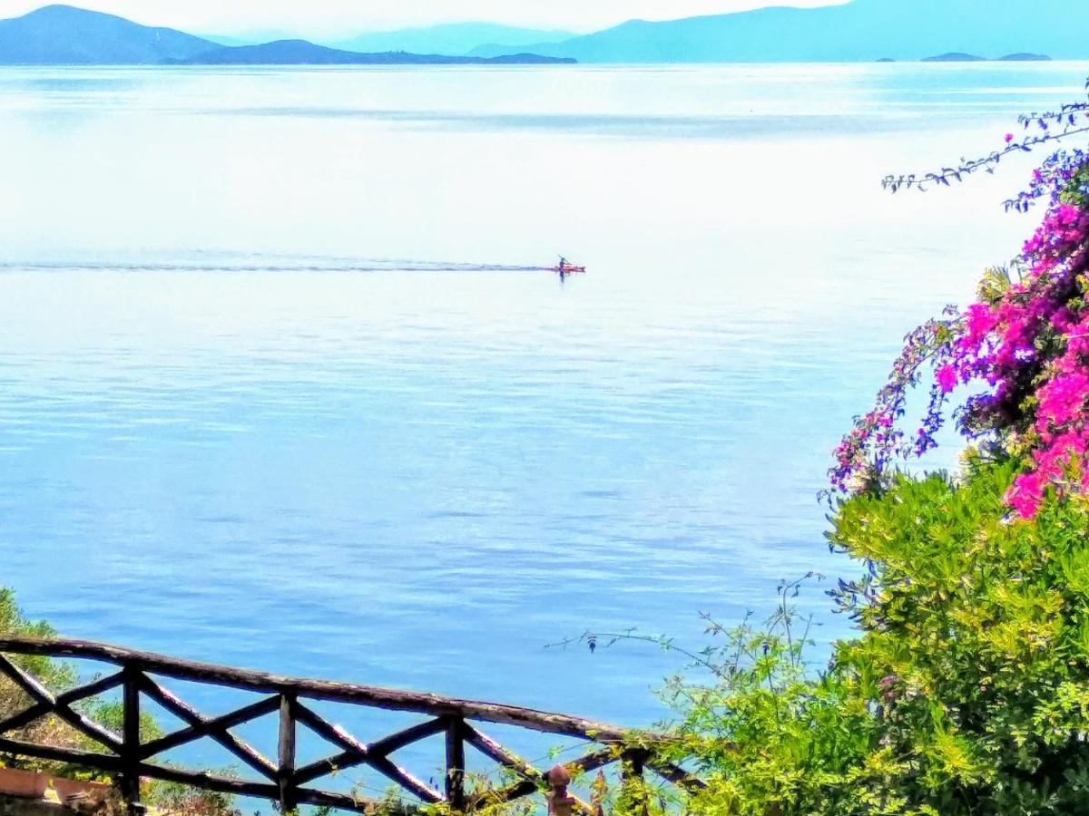 Pelion Seaside Luxury House Apartamento Afissos Exterior foto